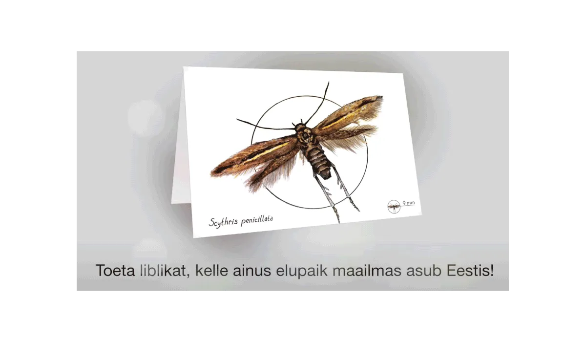 Toeta Seltsi tegevust