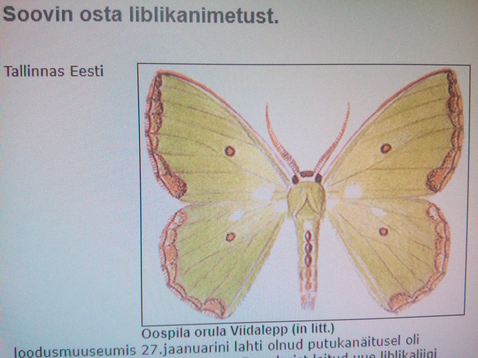 Soovin osta liblikanimetust.