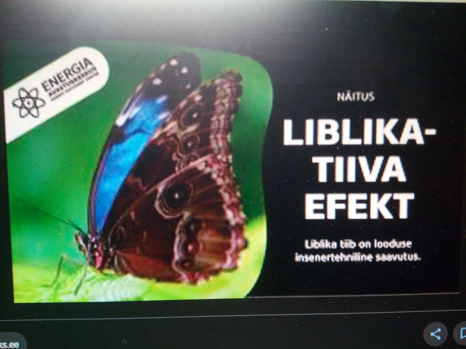 17. veebruari perepäeval uurime liblikatiiva efekti